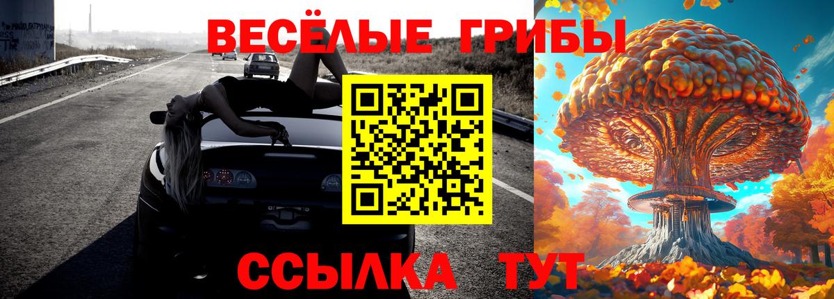 Псилоцибиновые грибы Magic Shrooms  Псилоцибиновые грибы мицелий  Искитим  Вход с VPN 